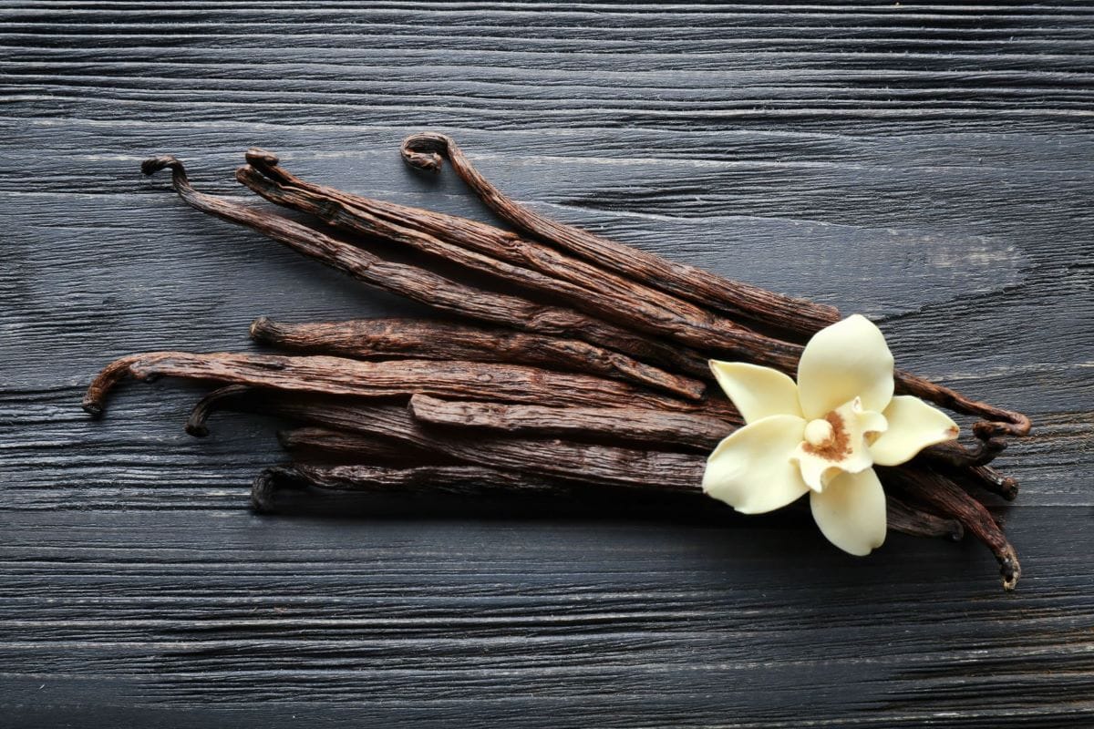 Meet your Vanilla Experts of Today