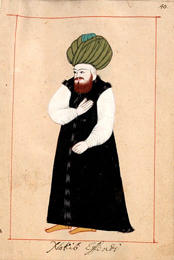 Special Status of Syed in Islamic Ontology.